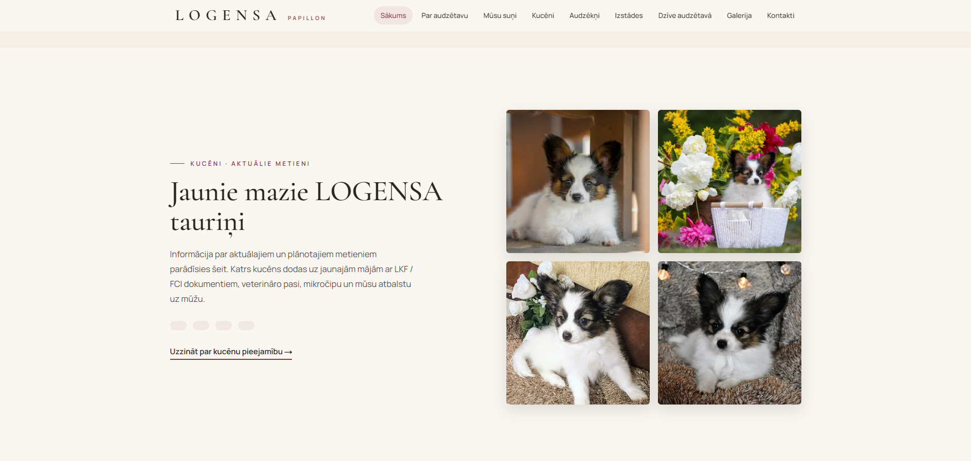 Puppies — Litters
